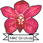 Latest News of National Research Centre for Orchids (ICAR), East Sikkim, Sikkim