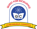 Gurusharan Convent  Sr. Sec. School,  Near Telephone Exchange, New Delhi, Delhi