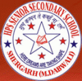 H.P.S. Senior Secondary School, Chetak Road Shergarh P.O. Mandi Dabwali, Sirsa, Haryana