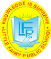 Little Fairy Public School,  Kingsway camp, Delhi, Delhi