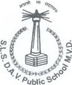 S.L.S. D.A.V. Public School, Mausam Vihar, Delhi, Delhi