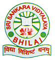 Sri Sankara Vidyalaya,  Sector 10 Bhilia Civil Centre, Durg, Chhattisgarh